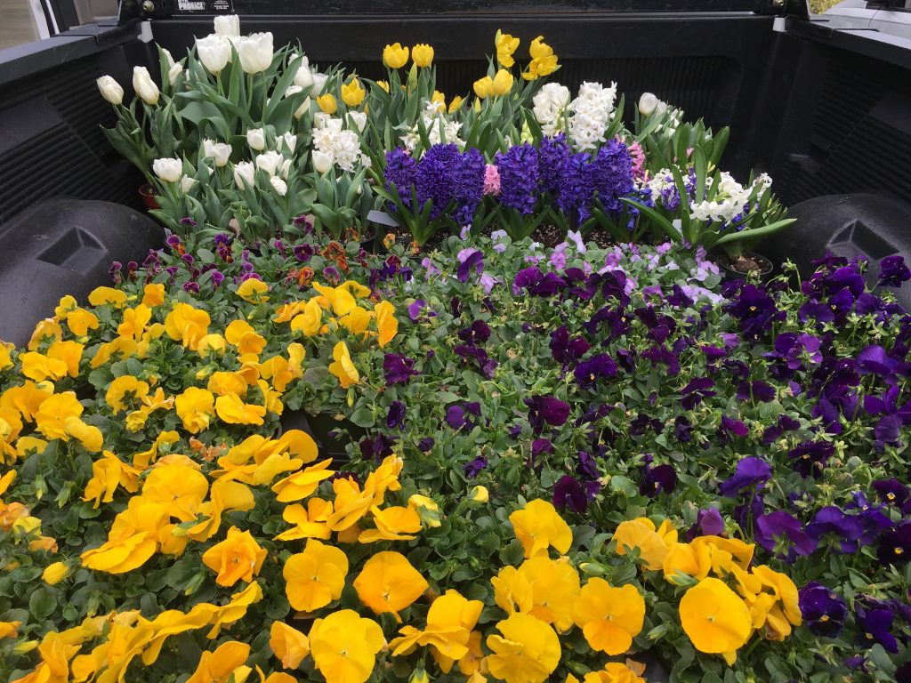 A truck bed full of flowers