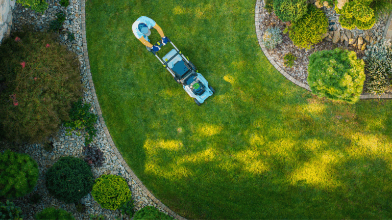 Mid-Summer Cleanup, Quality Island Landscaping