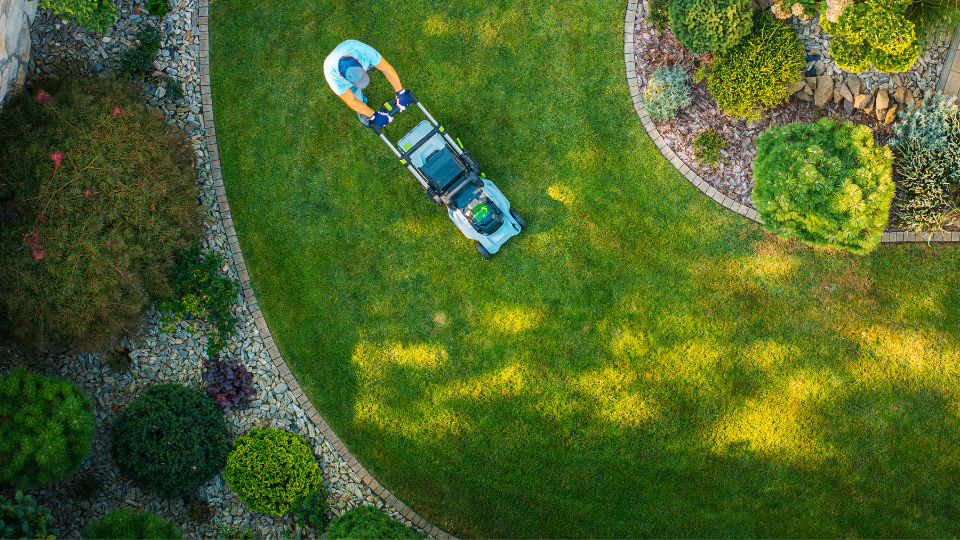 Mid-Summer Cleanup, Quality Island Landscaping