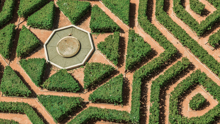 When to Trim, How to Shape: The Secret to a Healthy Yard