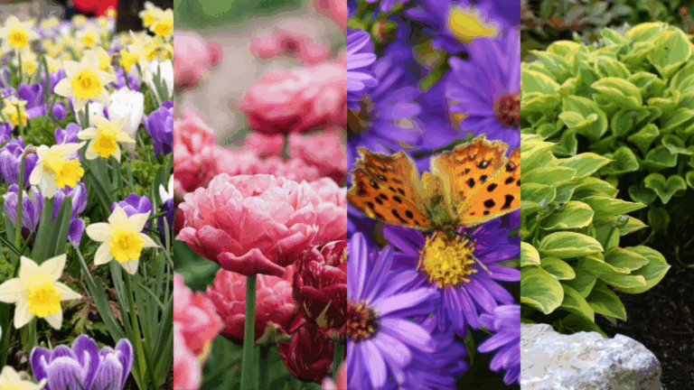 How to Keep Your Long Island Garden Blooming from Spring Through Fall
