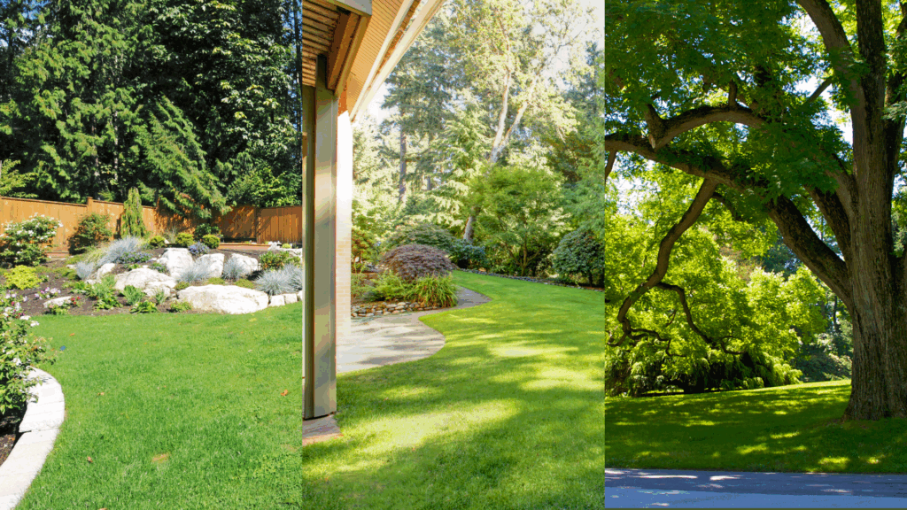 3 different properties with varying levels of light