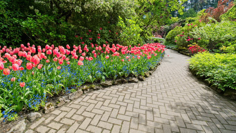 Quality Island Landscaping’s Property Services