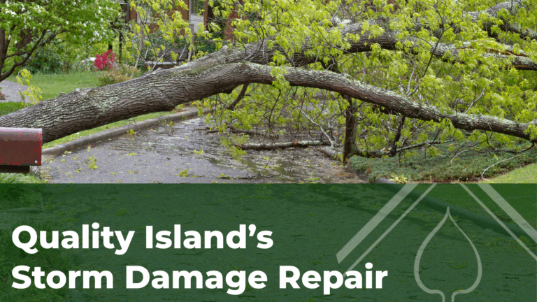 Storm Cleanup and Repairs