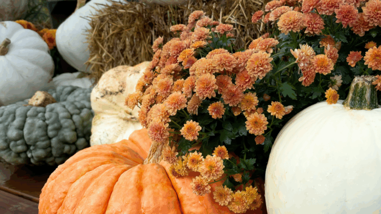 Planting in Autumn